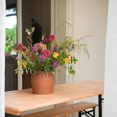 Demilenise - Feriegård *