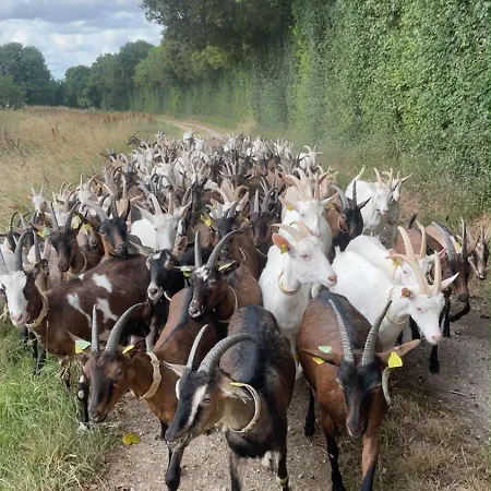 Gospodarstwo agroturystyczne Demilenise -